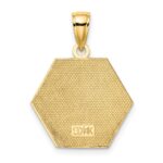 14K Red Enameled Textured Back Caduceus Medical Disc Charm - Image 4