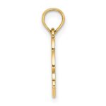 14K Textured NAGS HEAD with Dolphin Charm - Image 2