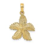 14K Textured Starfish Charm