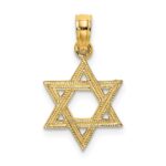 14K Textured Star Of David Charm