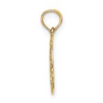 14K Textured Star Of David In Circle Charm - Image 2