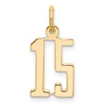 14k White Gold Small Elongated Number 15 Charm
