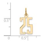 14k Small Elongated Number 25 Charm - Image 2