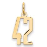 14k Small Elongated Number 42 Charm