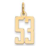 14k Small Elongated Number 53 Charm