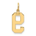 14k Medium Polished Number 9 Charm - Image 3