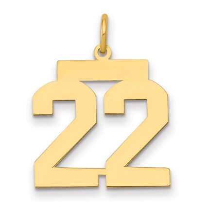 14k Medium Polished Number 22 Charm