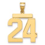 14k Large Polished Number 24 Charm