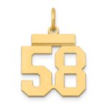 14k Small Polished Number 58 Charm