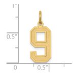 14k Medium Satin Number 9 Charm - Image 4