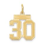 14k Small Satin Number 30 Charm