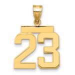 14k Medium Polished Number 23 Charm