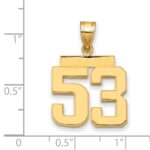 14k Medium Polished Number 53 Charm - Image 3