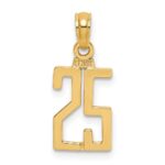 14k Polished Number 25 Pendant