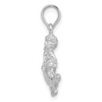 De-Ani Sterling Silver Rhodium-Plated Polished 3D Aquarius Zodiac Pendant - Image 2