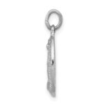 Sterling Silver Platinum-plated Miraculous Medal - Image 2