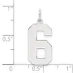 Sterling Silver/Rhodium-plated Polished Number 6 Charm - Image 4