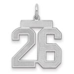 Sterling Silver/Rhodium-plated Satin Number 26 Charm
