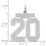 Sterling Silver/Rhodium-plated Satin Number 20 Charm - Image 3