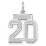 Sterling Silver/Rhodium-plated Satin Number 20 Charm