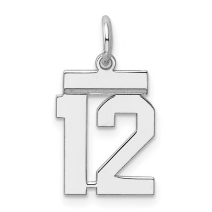 Sterling Silver/Rhodium-plated Polished Number 12 Charm