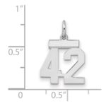 Sterling Silver/Rhodium-plated Polished Number 42 Charm - Image 2