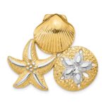 14k and White Rhodium Scallop, Starfish and Sand Dollar Omega Slide