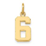 14k Small Polished Number 6 Charm