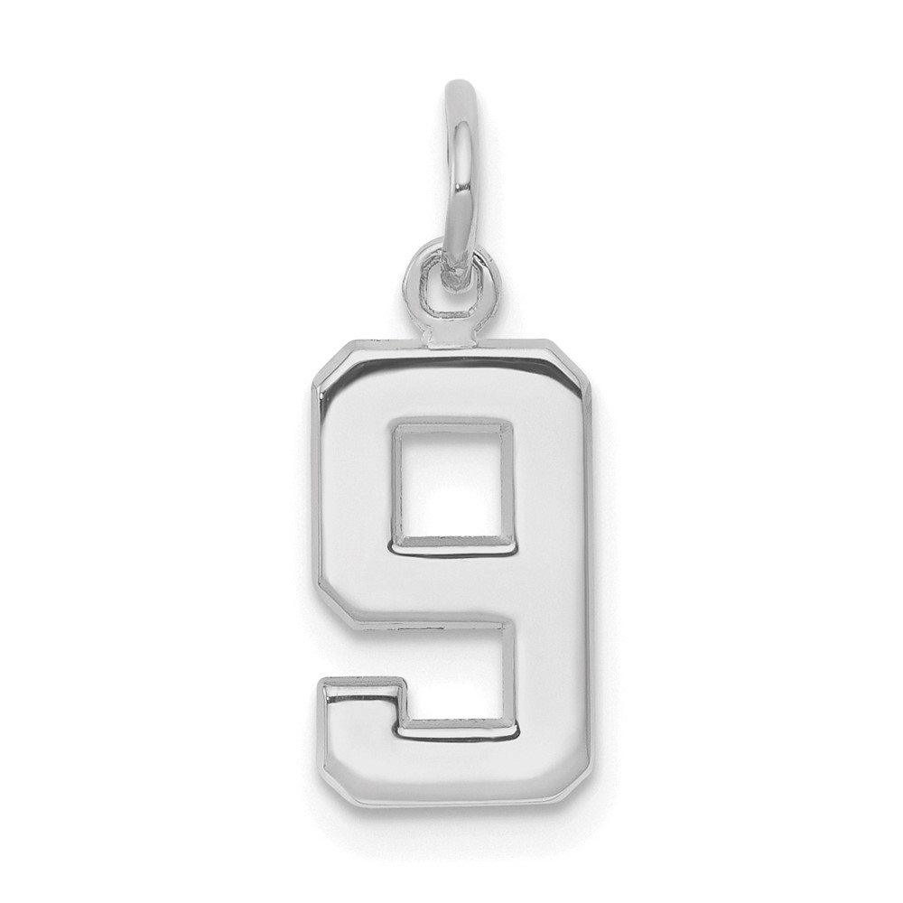 WSP09.jpg 14kw Small Polished Number 9 Charm - Image 1