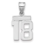 14kw Small Polished Number 18 Charm