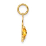 14K Boy Charm 6x4 Oval Genuine Citrine-November - Image 2