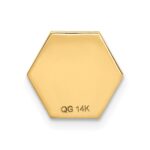 14k 9.5mm Hexagon Non-enameled Attachable Medical  Jewelry Emblem - Image 4
