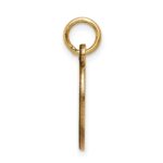 14k 16x9.5mm Oval Non-enameled Medical Jewelry Pendant - Image 2