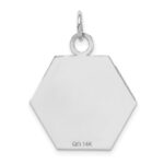 14k White Gold 22.5mm Hexagon Red Enameled Medical Jewelry Pendant - Image 4