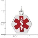 14k White Gold 22.5mm Hexagon Red Enameled Medical Jewelry Pendant - Image 3