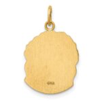 14k Hollow Polished and Satin Medium Jesus Medal - Image 3