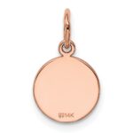 14k Rose Gold Plain .011 Gauge Round Engraveable 10mm Disc Charm - Image 3
