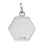 Sterling Silver Rhodium-plated Medical Jewelry Pendant - Image 3